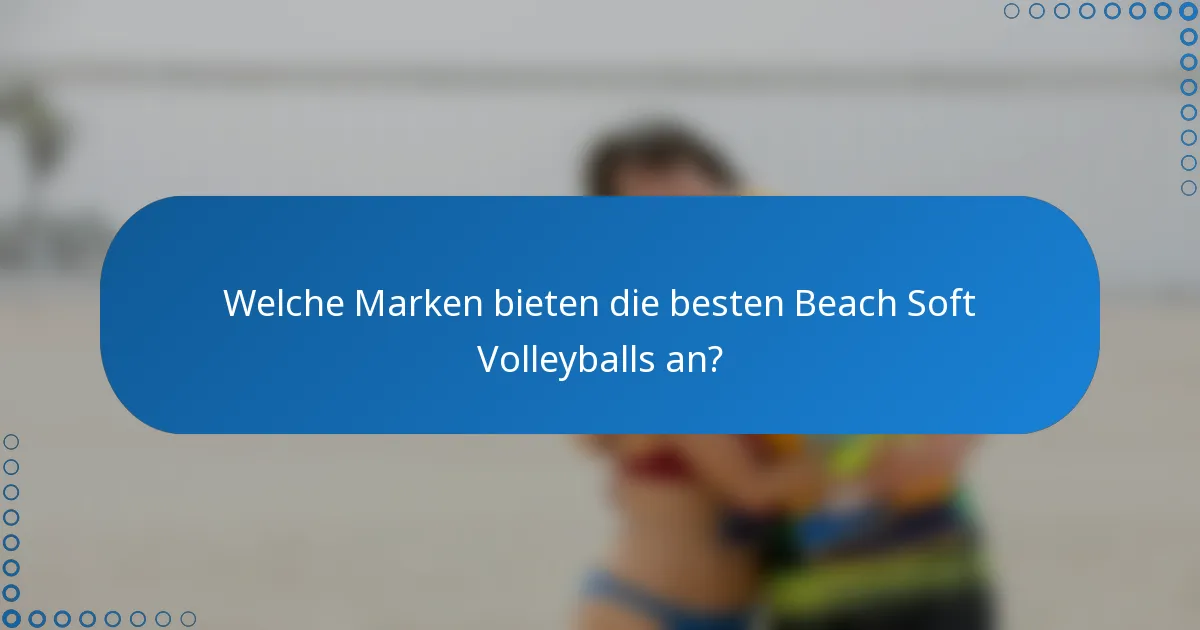 Welche Marken bieten die besten Beach Soft Volleyballs an?