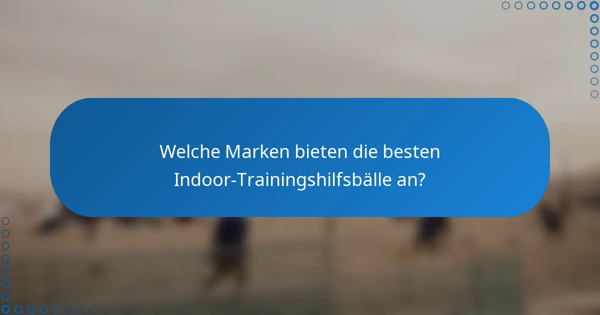Welche Marken bieten die besten Indoor-Trainingshilfsbälle an?