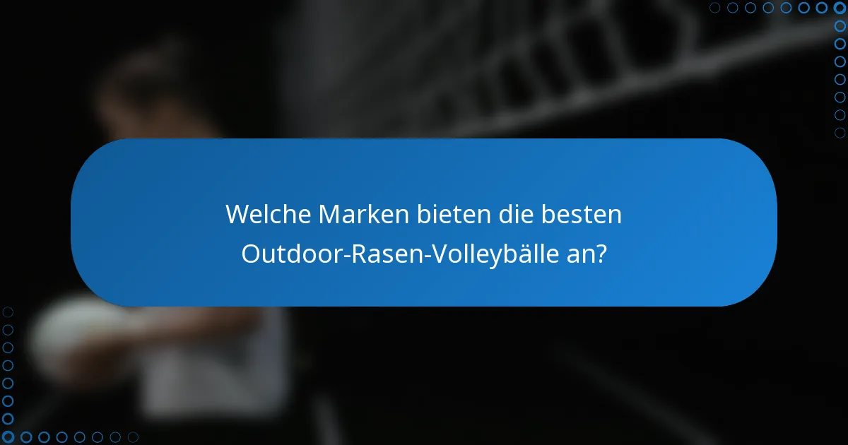 Welche Marken bieten die besten Outdoor-Rasen-Volleybälle an?