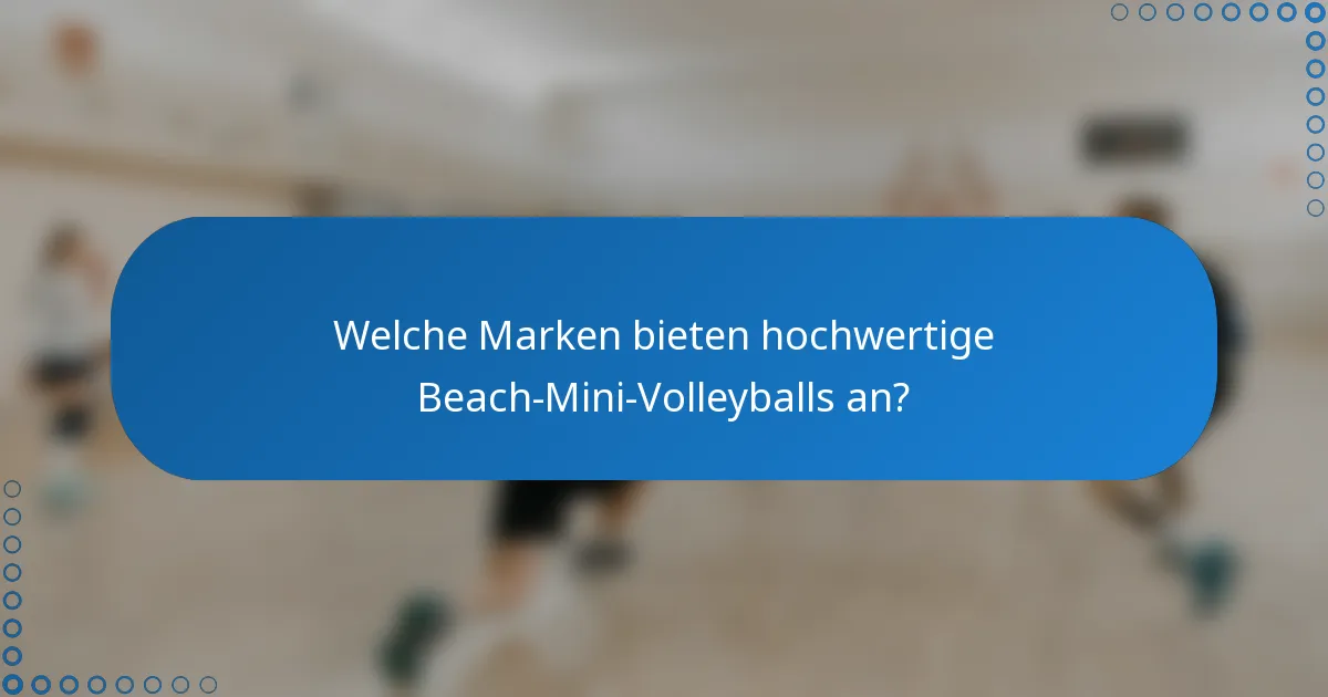 Welche Marken bieten hochwertige Beach-Mini-Volleyballs an?
