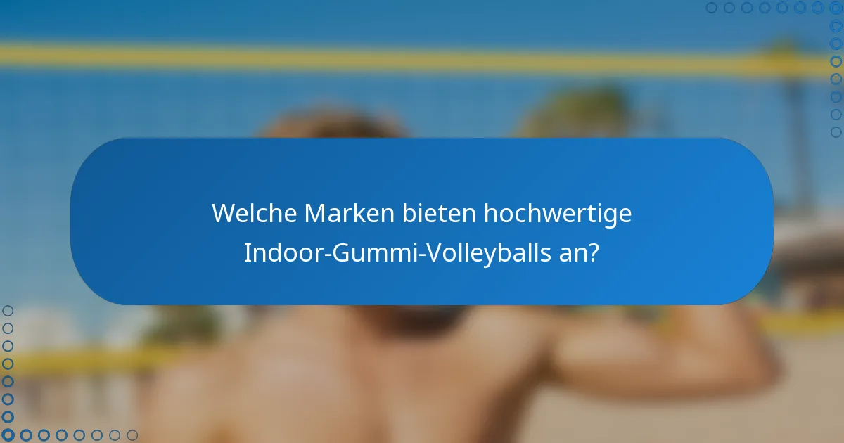 Welche Marken bieten hochwertige Indoor-Gummi-Volleyballs an?