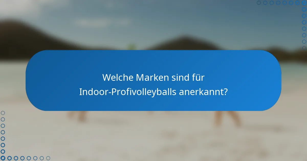 Welche Marken sind für Indoor-Profivolleyballs anerkannt?