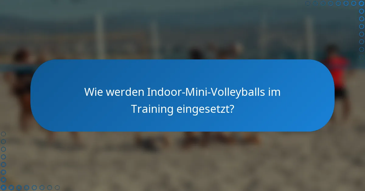 Wie werden Indoor-Mini-Volleyballs im Training eingesetzt?